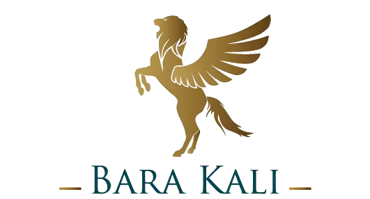 Barakali Africa